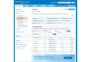 BMO Canada Bank Log - Bal $19k